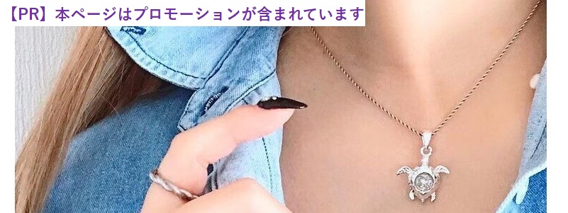 ��_���̂̃A�N�Z�T���[�y�X�^�[�����h�E�܁[���X�g�[���z���T�C�g